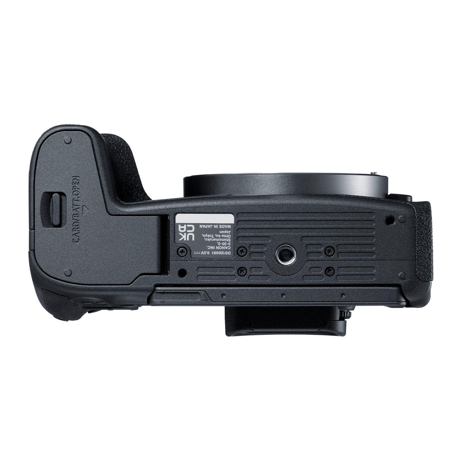 Canon EOS R8 Kit with RF 24-105mm view 5